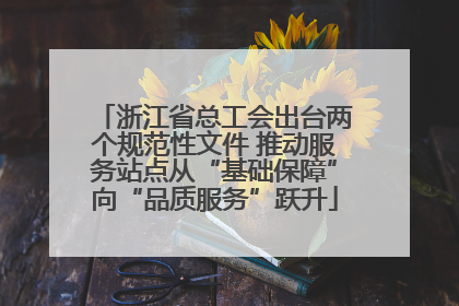 浙江省总工会出台两个规范性文件 推动服务站点从“基础保障”向“品质服务”跃升