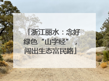 浙江丽水：念好绿色“山字经”，闯出生态富民路