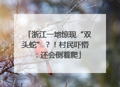 浙江一地惊现“双头蛇”？！村民吓懵：还会倒着爬