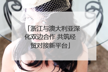 浙江与澳大利亚深化双边合作 共筑经贸对接新平台