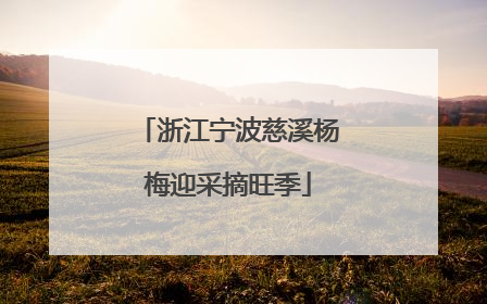 浙江宁波慈溪杨梅迎采摘旺季