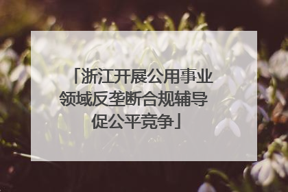 浙江开展公用事业领域反垄断合规辅导 促公平竞争