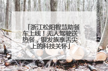 浙江松阳智慧助餐车上线！无人驾驶送热餐，银发族享舌尖上的科技关怀