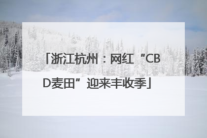 浙江杭州：网红“CBD麦田”迎来丰收季