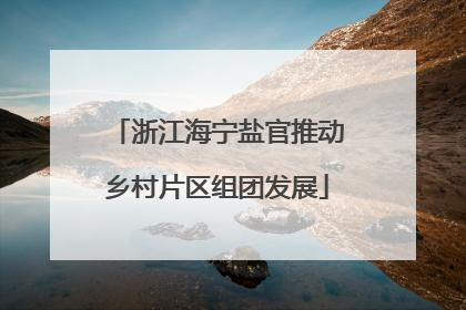 浙江海宁盐官推动乡村片区组团发展