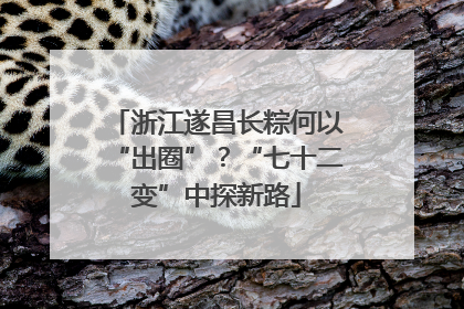浙江遂昌长粽何以“出圈”？“七十二变”中探新路