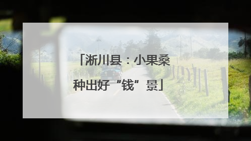 淅川县：小果桑种出好“钱”景