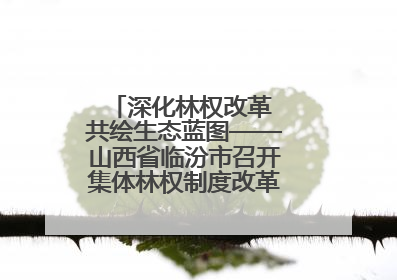 深化林权改革 共绘生态蓝图——山西省临汾市召开集体林权制度改革专题研讨会