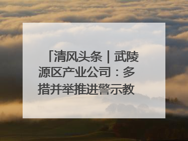 清风头条｜武陵源区产业公司：多措并举推进警示教育走深走实