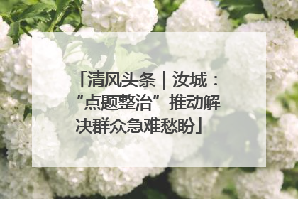 清风头条｜汝城：“点题整治”推动解决群众急难愁盼