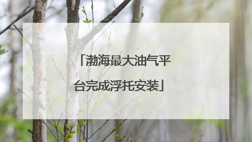 渤海最大油气平台完成浮托安装
