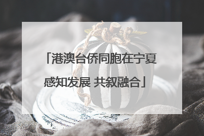 港澳台侨同胞在宁夏感知发展 共叙融合