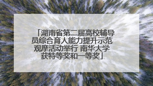 湖南省第二届高校辅导员综合育人能力提升示范观摩活动举行 南华大学获特等奖和一等奖