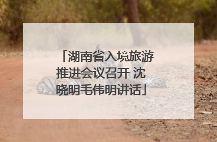 湖南省入境旅游推进会议召开 沈晓明毛伟明讲话