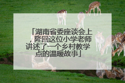 湖南省委座谈会上，隆回这位小学老师讲述了一个乡村教学点的温暖故事
