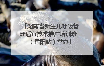 湖南省新生儿呼吸管理适宜技术推广培训班（岳阳站）举办