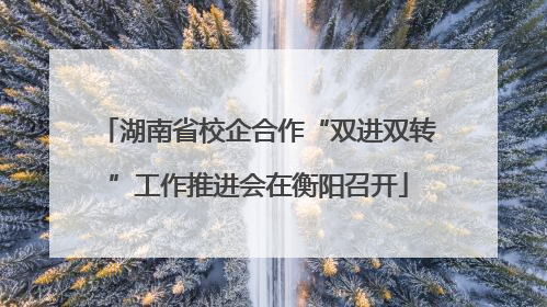 湖南省校企合作“双进双转”工作推进会在衡阳召开