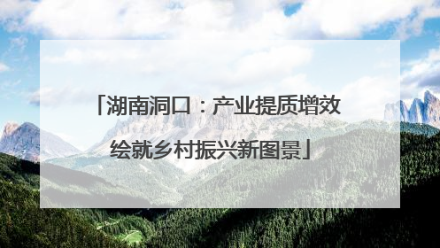 湖南洞口：产业提质增效 绘就乡村振兴新图景