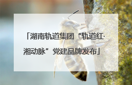 湖南轨道集团“轨道红·湘动脉”党建品牌发布