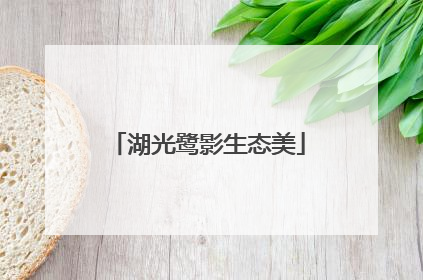 湖光鹭影生态美
