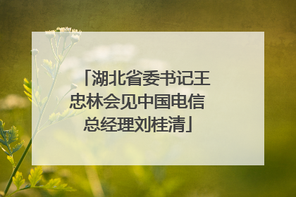 湖北省委书记王忠林会见中国电信总经理刘桂清