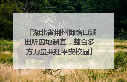 湖北省荆州御路口派出所因地制宜，整合多方力量共建平安校园
