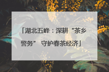 湖北五峰：深耕“茶乡警务” 守护春茶经济