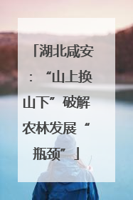 湖北咸安：“山上换山下”破解农林发展“瓶颈”