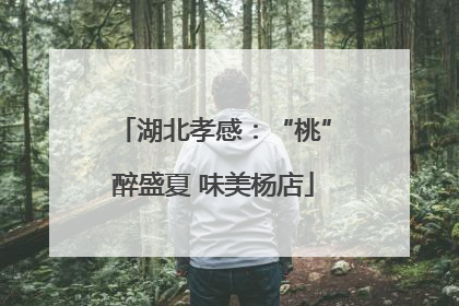 湖北孝感：“桃”醉盛夏 味美杨店