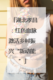 湖北孝昌：红色血脉激活乡村振兴“新动能”