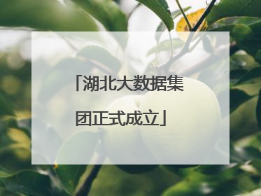 湖北大数据集团正式成立
