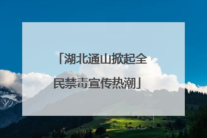 湖北通山掀起全民禁毒宣传热潮