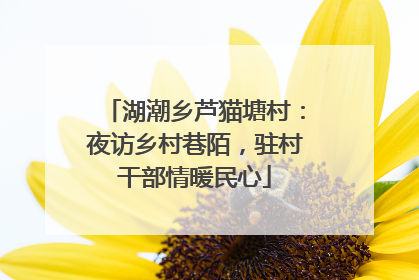 湖潮乡芦猫塘村：夜访乡村巷陌，驻村干部情暖民心
