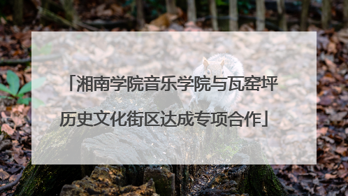 湘南学院音乐学院与瓦窑坪历史文化街区达成专项合作