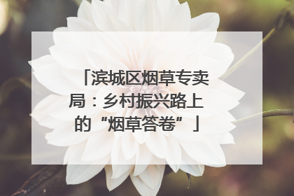 滨城区烟草专卖局：乡村振兴路上的“烟草答卷”