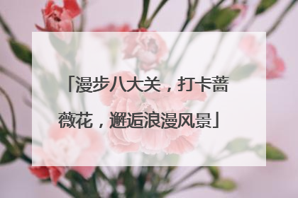 漫步八大关，打卡蔷薇花，邂逅浪漫风景