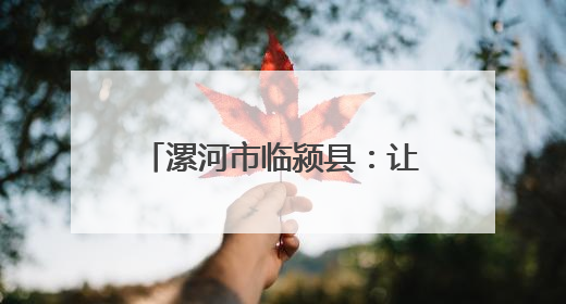 漯河市临颍县：让党的政策深入人心
