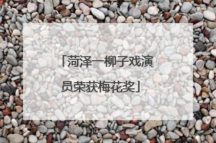 菏泽一柳子戏演员荣获梅花奖