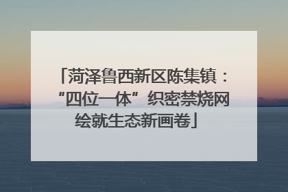 菏泽鲁西新区陈集镇：“四位一体”织密禁烧网 绘就生态新画卷