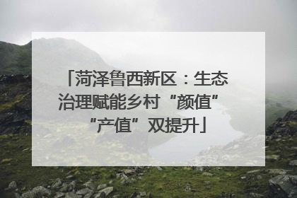 菏泽鲁西新区：生态治理赋能乡村“颜值”“产值”双提升
