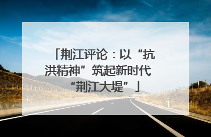 荆江评论：以“抗洪精神”筑起新时代“荆江大堤”