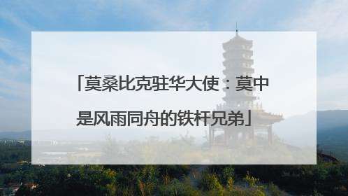 莫桑比克驻华大使：莫中是风雨同舟的铁杆兄弟