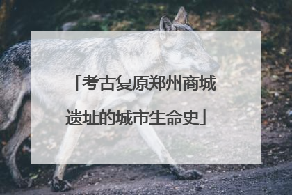 考古复原郑州商城遗址的城市生命史