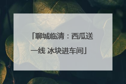 聊城临清：西瓜送一线 冰块进车间