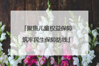 聚焦儿童权益保障 筑牢民生保障防线