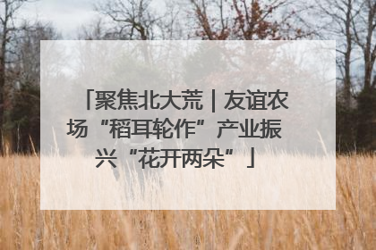 聚焦北大荒｜友谊农场“稻耳轮作”产业振兴“花开两朵”