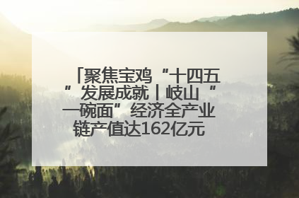 聚焦宝鸡“十四五”发展成就丨岐山“一碗面”经济全产业链产值达162亿元 入选全国典型县