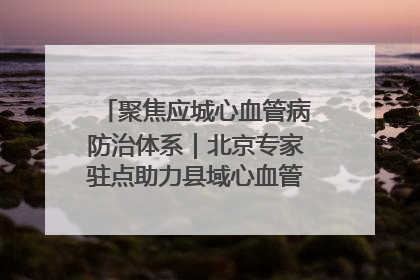 聚焦应城心血管病防治体系｜北京专家驻点助力县域心血管诊疗技术突破