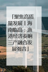 聚焦高质量发展丨海南临高：渔港经济奏响三产融合发展强音
