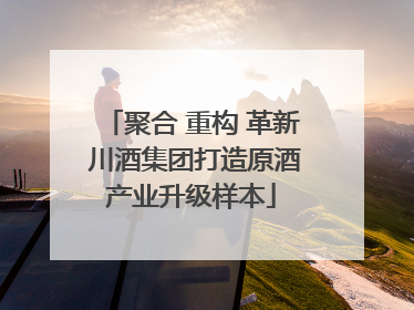 聚合 重构 革新 川酒集团打造原酒产业升级样本